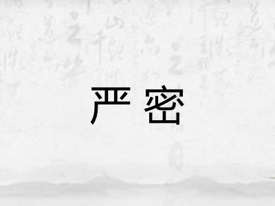 严密