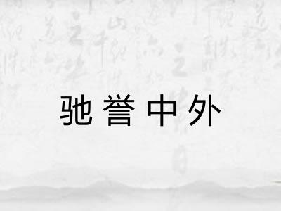 驰誉中外