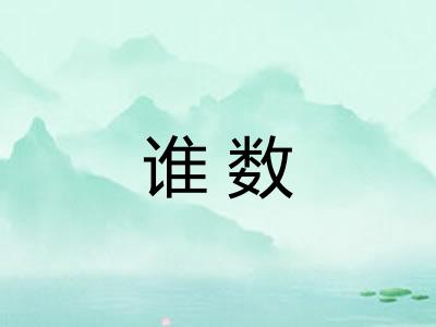 谁数 谁数