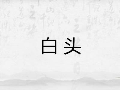 白头 白头