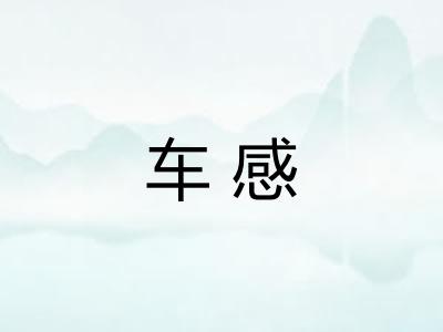 车感