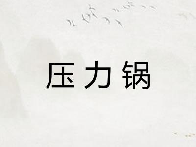 压力锅 压力锅
