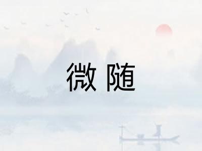 微随