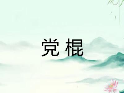 党棍
