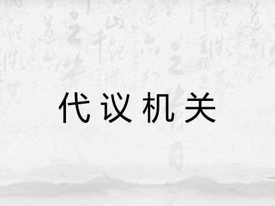 代议机关