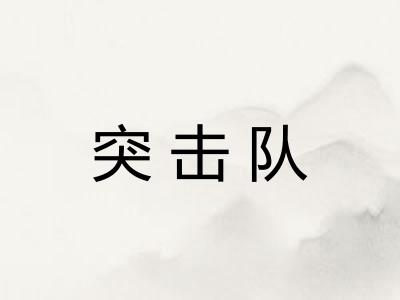 突击队
