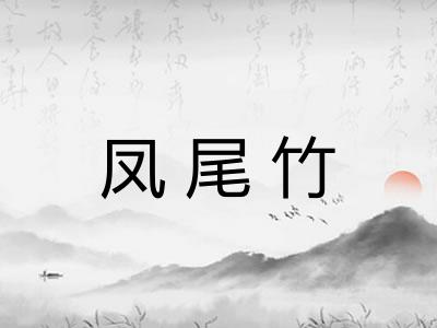 凤尾竹 凤尾竹