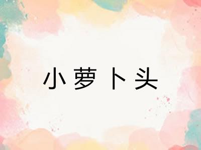 小萝卜头 小萝卜头