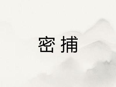 密捕