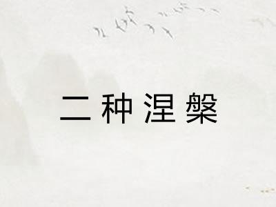 二种涅槃