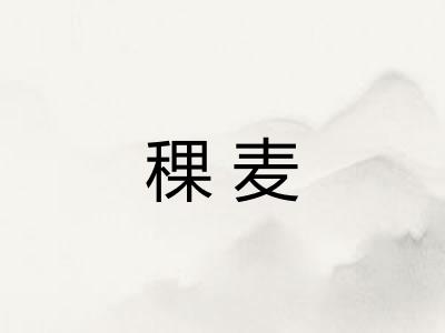稞麦