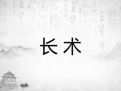长术 长术