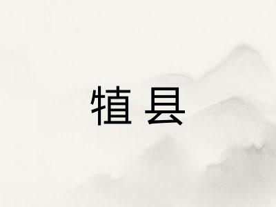 犆县