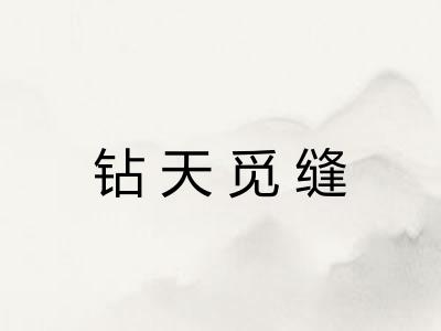 钻天觅缝