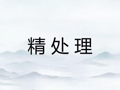 精处理 精处理