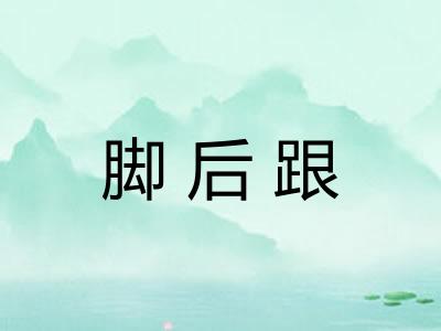 脚后跟 脚后跟