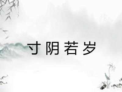 寸阴若岁