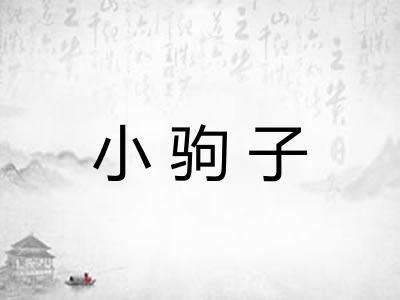 小驹子