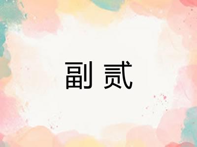 副贰