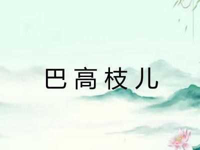巴高枝儿