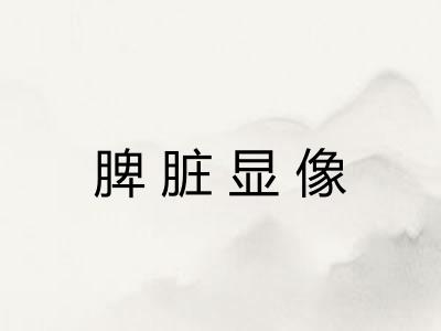 脾脏显像
