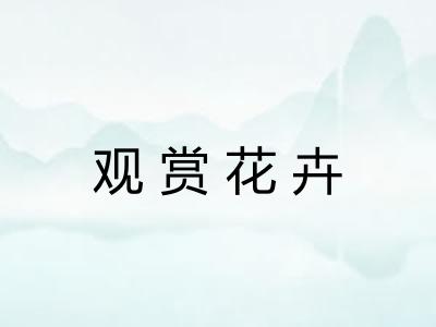 观赏花卉