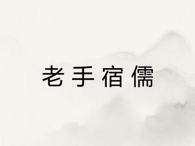 老手宿儒