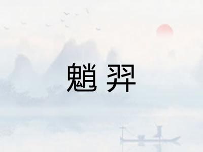 魈羿