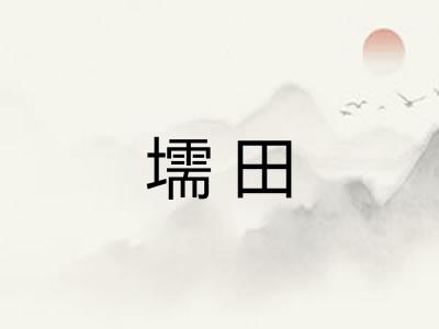壖田