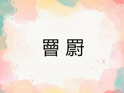 罾罻