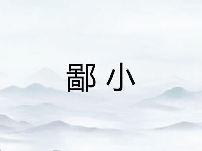 鄙小