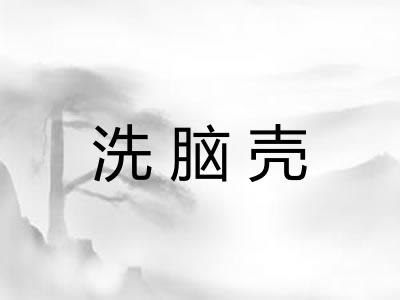 洗脑壳