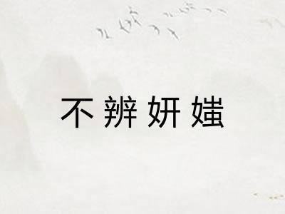 不辨妍媸
