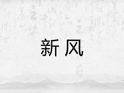 新风 新风