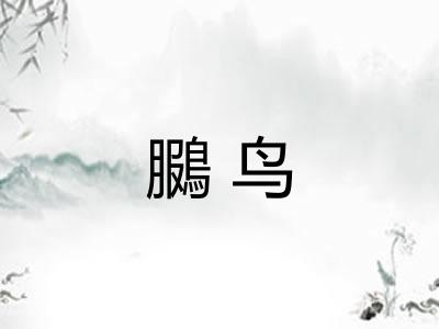 鵩鸟