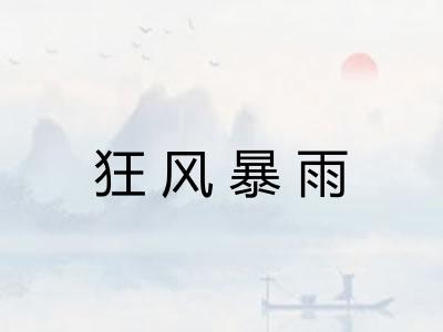 狂风暴雨 狂风暴雨