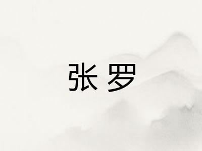 张罗 张罗
