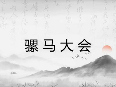 骡马大会