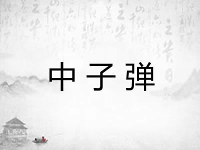 中子弹