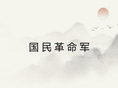 国民革命军 国民革命军