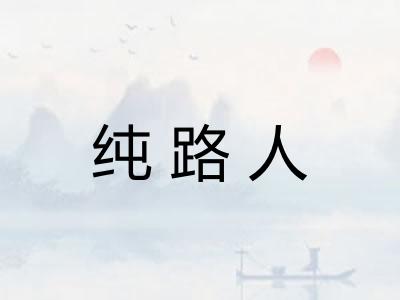 纯路人