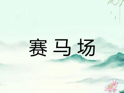 赛马场 赛马场