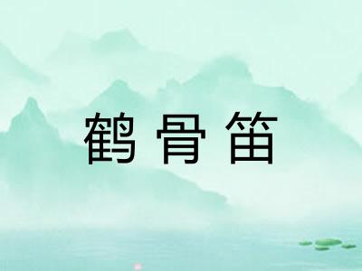 鹤骨笛