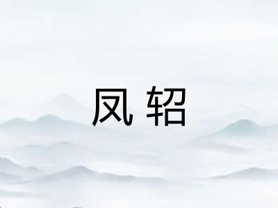 凤轺