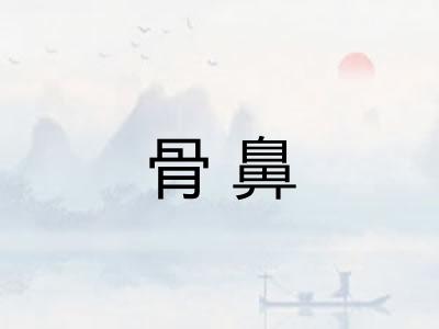 骨鼻 骨鼻