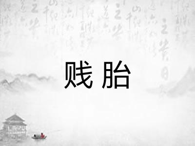 贱胎