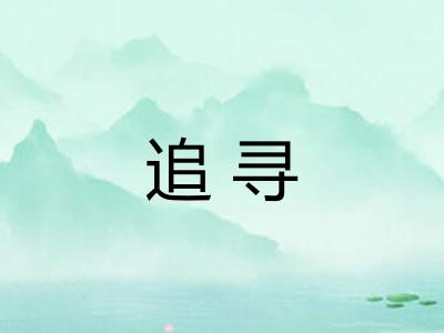 追寻 追寻