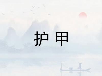 护甲 护甲