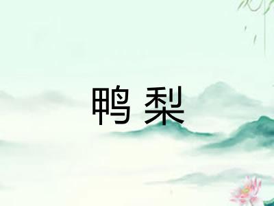 鸭梨