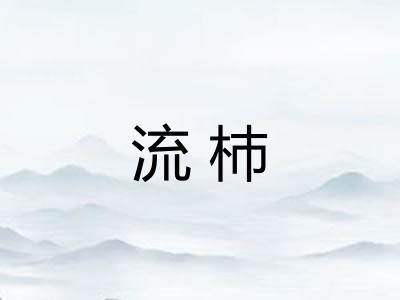 流杮